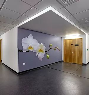 Mineral Fibre Ceiling Tiles South Australia 9 Mineral Fibre Ceiling Tiles South Australia 7